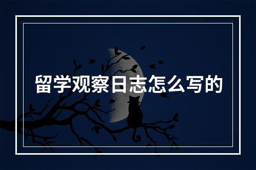 留学观察日志怎么写的