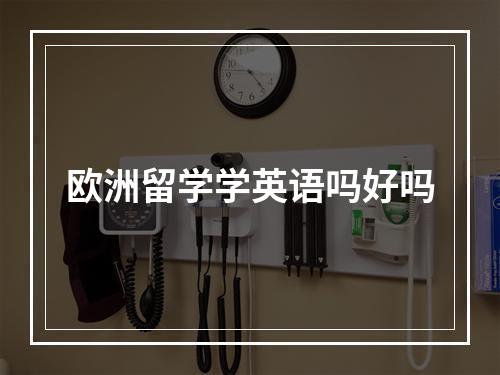 欧洲留学学英语吗好吗