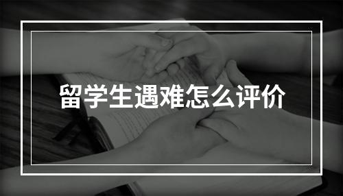 留学生遇难怎么评价