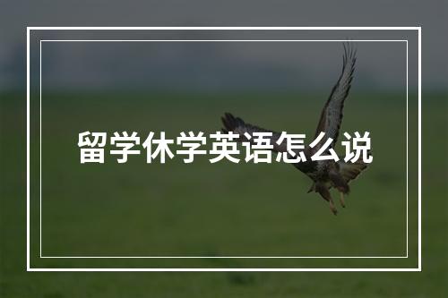 留学休学英语怎么说