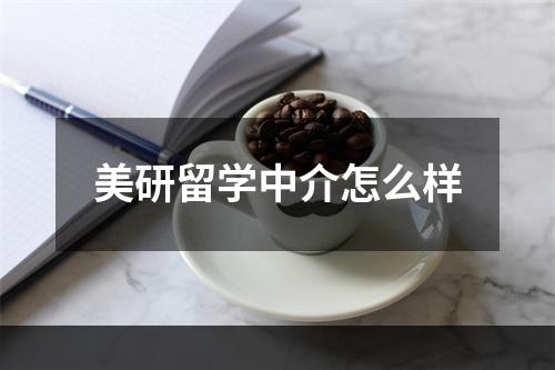 美研留学中介怎么样