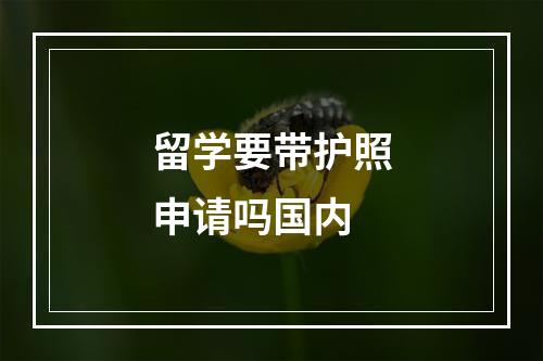 留学要带护照申请吗国内