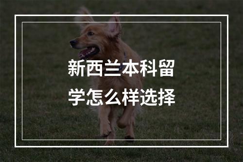 新西兰本科留学怎么样选择