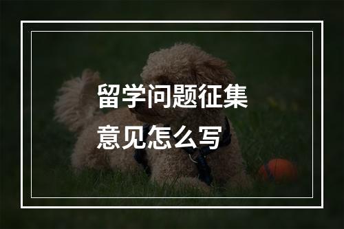 留学问题征集意见怎么写