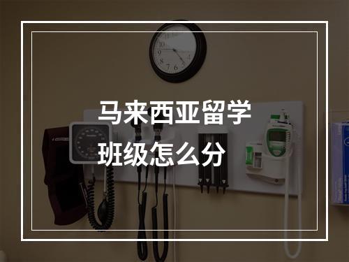 马来西亚留学班级怎么分