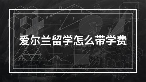 爱尔兰留学怎么带学费