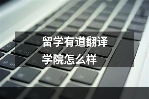 留学有道翻译学院怎么样