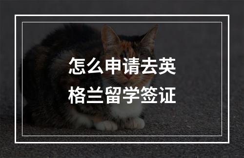 怎么申请去英格兰留学签证