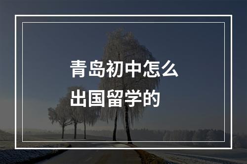 青岛初中怎么出国留学的