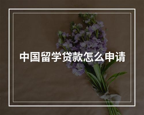 中国留学贷款怎么申请