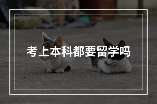 考上本科都要留学吗