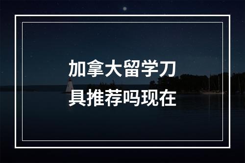 加拿大留学刀具推荐吗现在