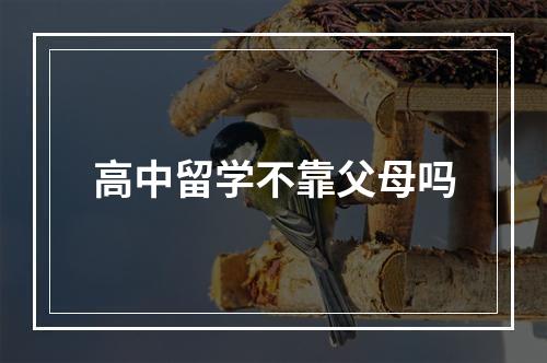 高中留学不靠父母吗