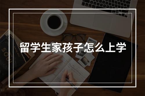 留学生家孩子怎么上学