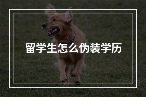 留学生怎么伪装学历