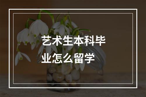 艺术生本科毕业怎么留学