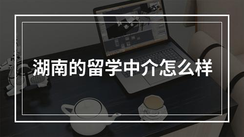 湖南的留学中介怎么样