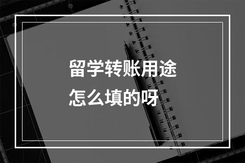 留学转账用途怎么填的呀