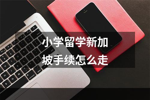 小学留学新加坡手续怎么走