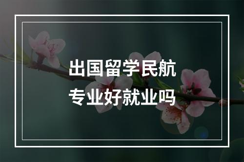 出国留学民航专业好就业吗