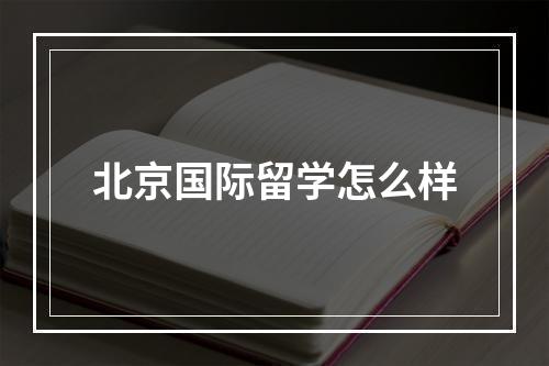 北京国际留学怎么样