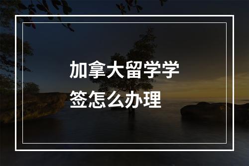 加拿大留学学签怎么办理