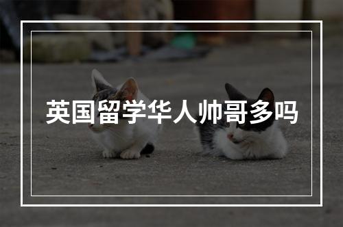 英国留学华人帅哥多吗