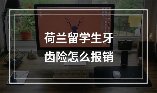 荷兰留学生牙齿险怎么报销