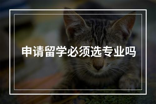 申请留学必须选专业吗