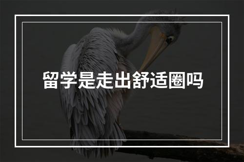 留学是走出舒适圈吗