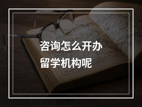 咨询怎么开办留学机构呢