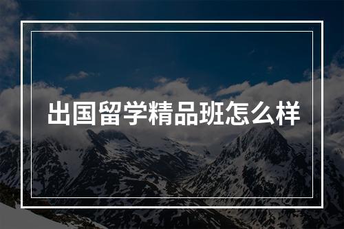 出国留学精品班怎么样