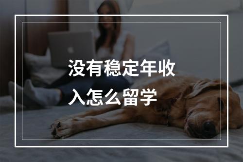 没有稳定年收入怎么留学