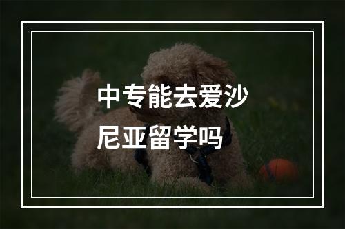 中专能去爱沙尼亚留学吗