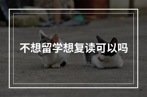 不想留学想复读可以吗