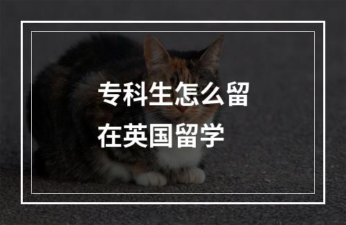 专科生怎么留在英国留学