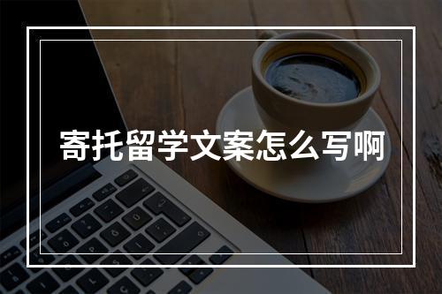 寄托留学文案怎么写啊