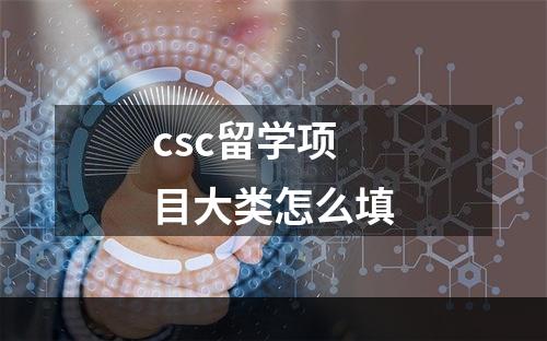 csc留学项目大类怎么填