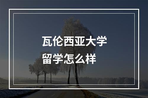 瓦伦西亚大学留学怎么样