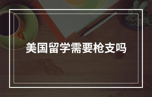 美国留学需要枪支吗