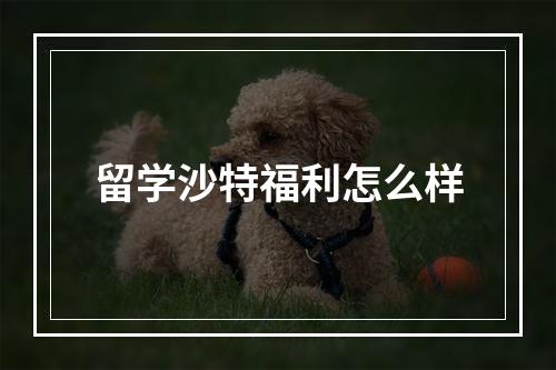 留学沙特福利怎么样