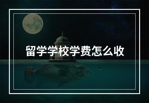 留学学校学费怎么收