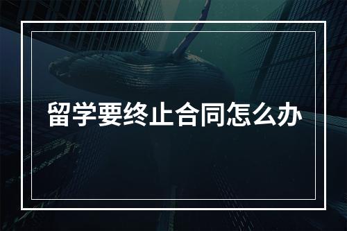 留学要终止合同怎么办