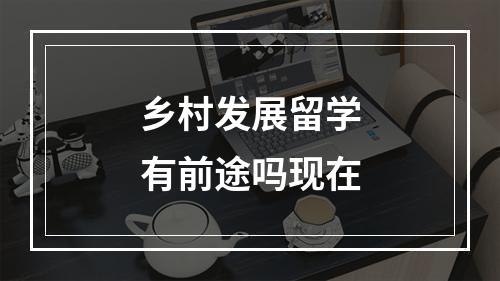 乡村发展留学有前途吗现在