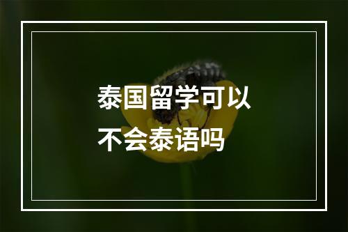 泰国留学可以不会泰语吗