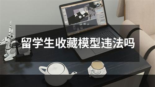 留学生收藏模型违法吗