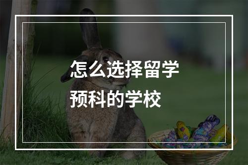 怎么选择留学预科的学校