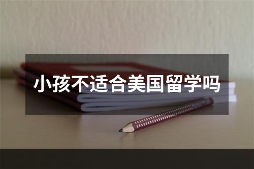 小孩不适合美国留学吗