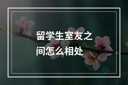 留学生室友之间怎么相处