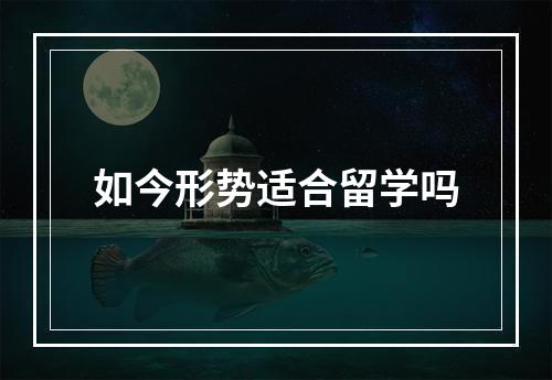 如今形势适合留学吗